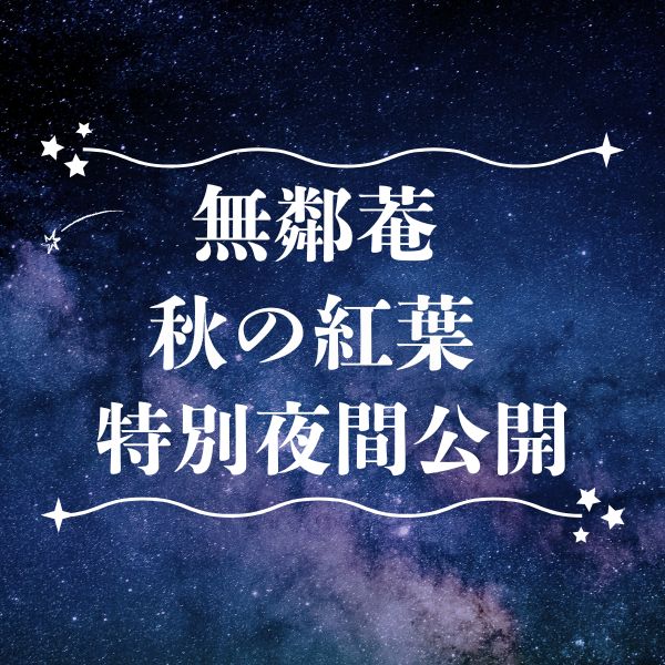 無鄰菴 秋の紅葉特別夜間公開 / 京都観光旅行ガイド