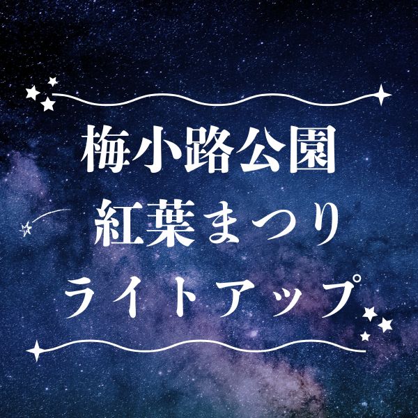 梅小路公園紅葉まつりライトアップ / 京都観光旅行ガイド