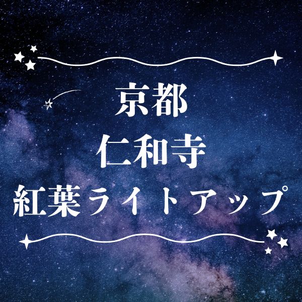 仁和寺 紅葉雲海ライトアップ / 京都観光旅行ガイド