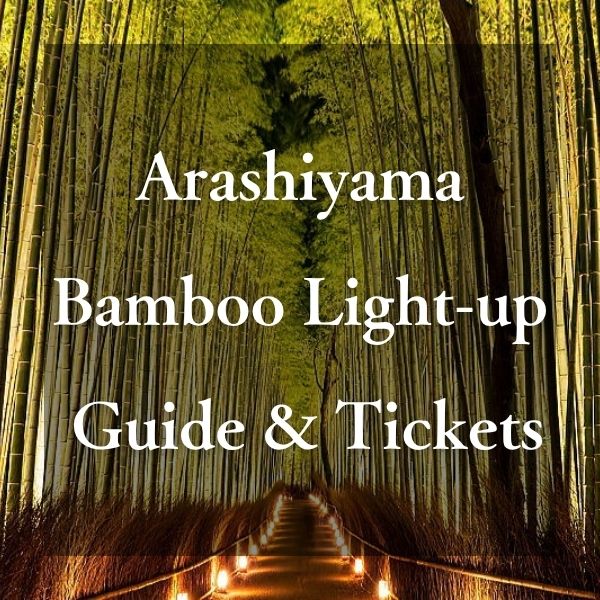Arashiyama Bamboo Light-up : Guide & Tickets