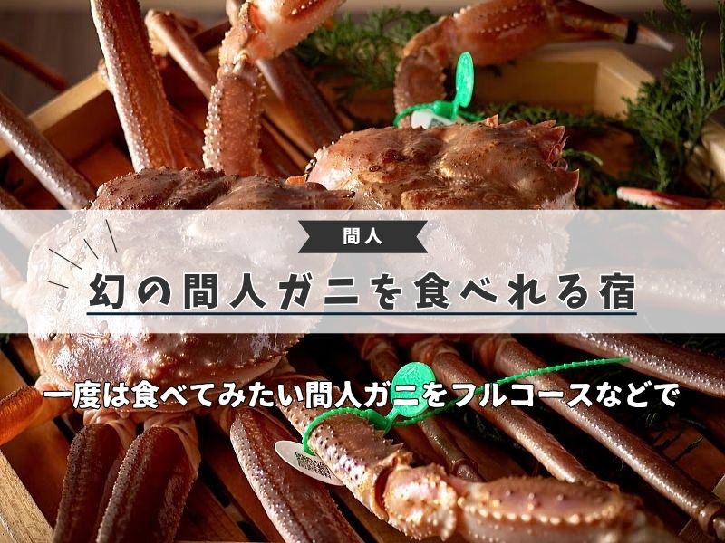 間人カニ食べれる宿 / 京都観光旅行ガイド