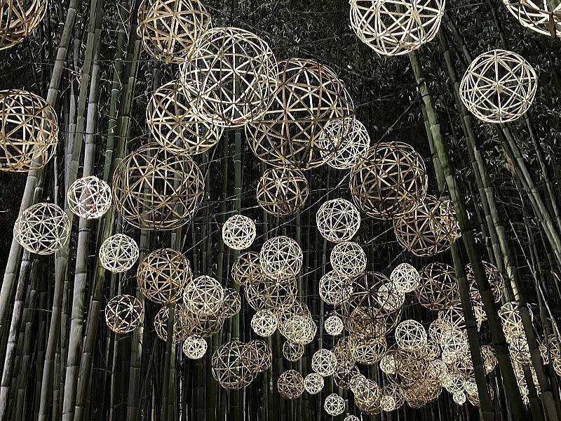 The Arashiyama Bamboo Light-up Paid Admission Area