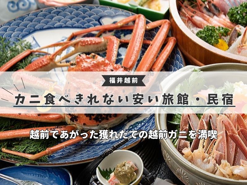 【福井越前カニ】食べきれない＆安い旅館・民宿