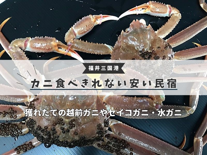 【福井三国港】越前カニ食べきれない安い民宿ランキング