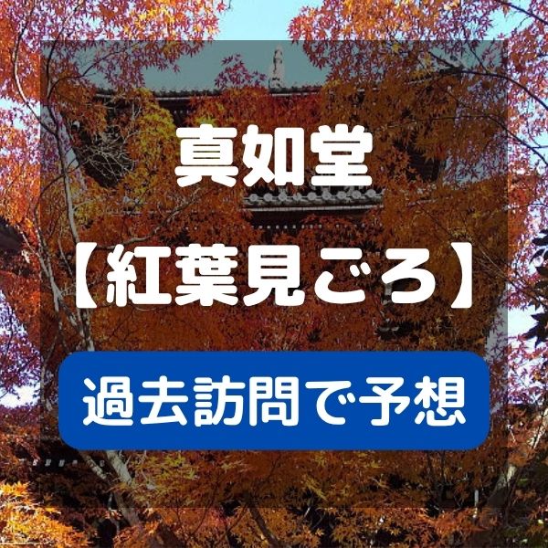 真如堂 紅葉見ごろ / 京都観光旅行ガイド