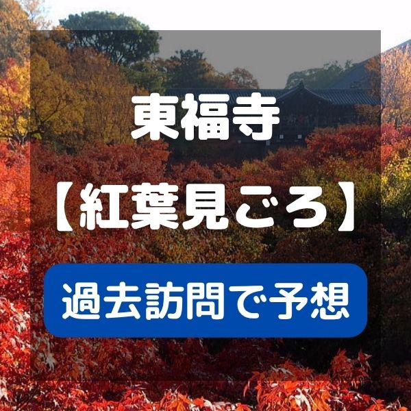 東福寺 紅葉見ごろ / 京都観光旅行ガイド