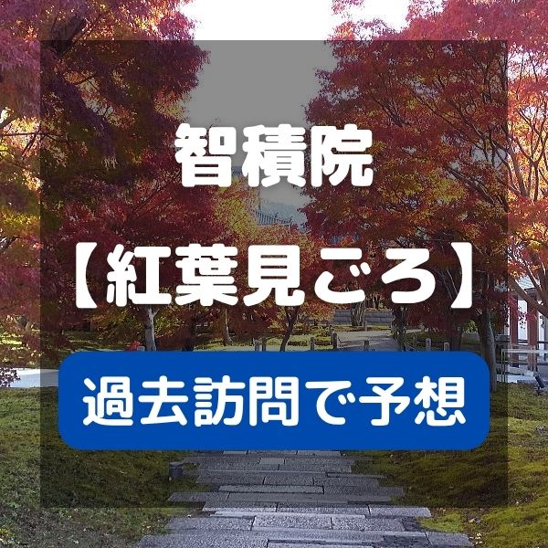 智積院 紅葉の見ごろ予想 / 京都観光旅行ガイド